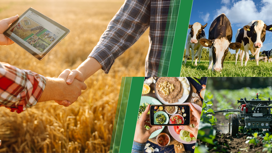 Bildcollage mit zwei Landwirten auf einem Weizenfeld, die sich per Handschlag einigen und ein Tablet in der Hand halten, einem autonom fahrenden Feldroboter, einem Handy, welches Lebensmittel anzeigt und eine Aufnahme von schwarz-weißen Kühen auf einer Weide mit blauem Himmel.