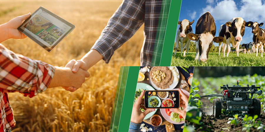 Bildcollage mit zwei Landwirten auf einem Weizenfeld, die sich per Handschlag einigen und ein Tablet in der Hand halten, einem autonom fahrenden Feldroboter, einem Handy, welches Lebensmittel anzeigt und eine Aufnahme von schwarz-weißen Kühen auf einer Weide mit blauem Himmel.