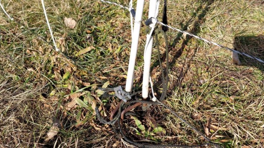 Erdungslitze am Herdenschutzzaun