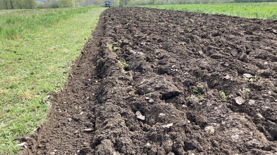 Gepflügter Acker mit Erschollen.