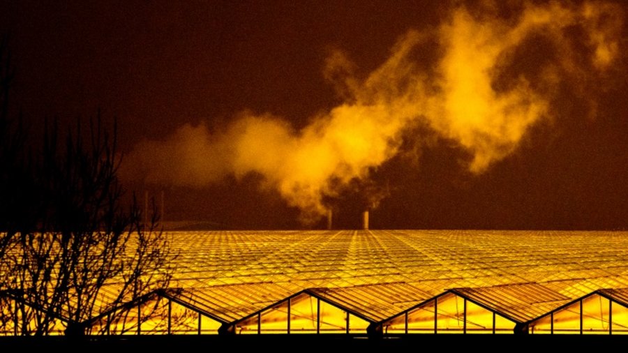 Gelblich belichteter, großer Gewächshauskomplex der den Nachthimmel und die Wolken orange-gelb erstrahlen lässt. 