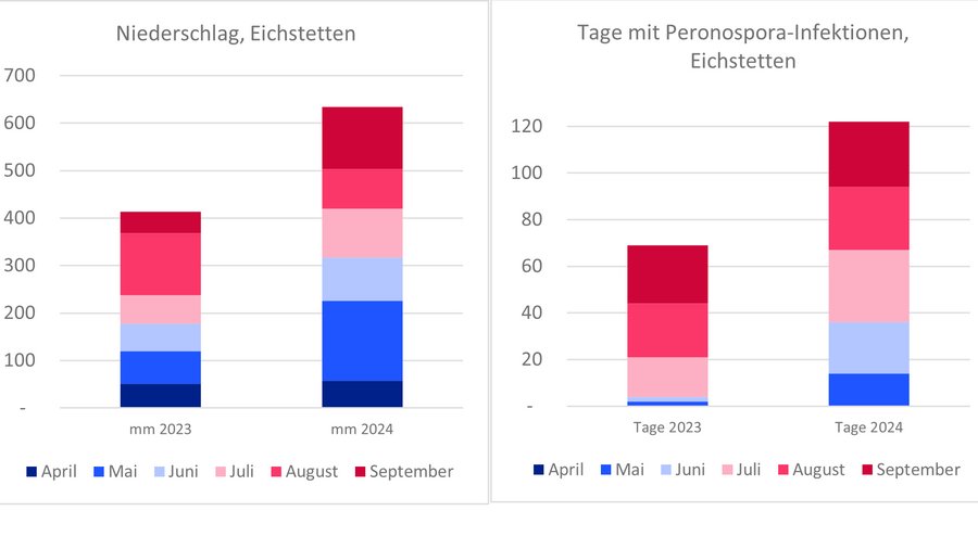 Grafische Darstellung Niederschlag und Peronospora-Infektionen.