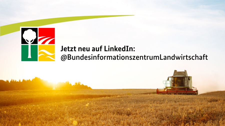 Das Bundesinformationszentrum ist nun auch auf dem linkedIn Kanal