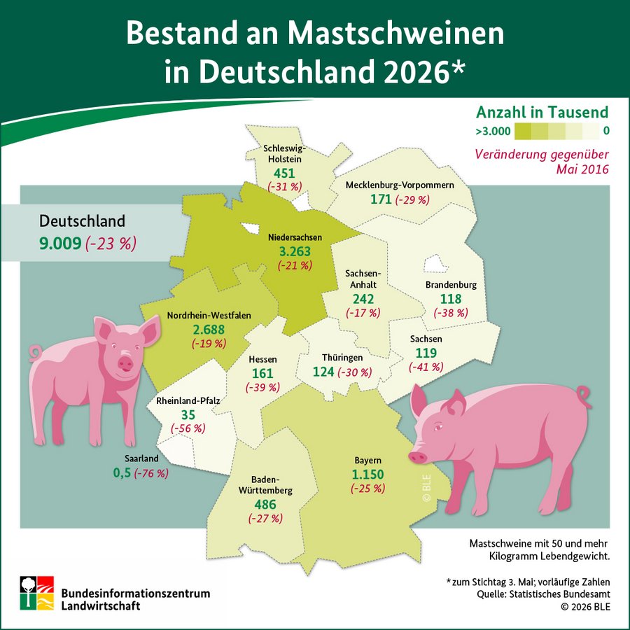 Infografik Mastschweinebestand Deutschland
