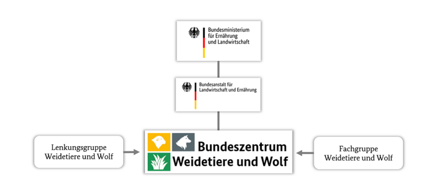  Organigramm des Bundeszentrums Weidetiere und Wolf