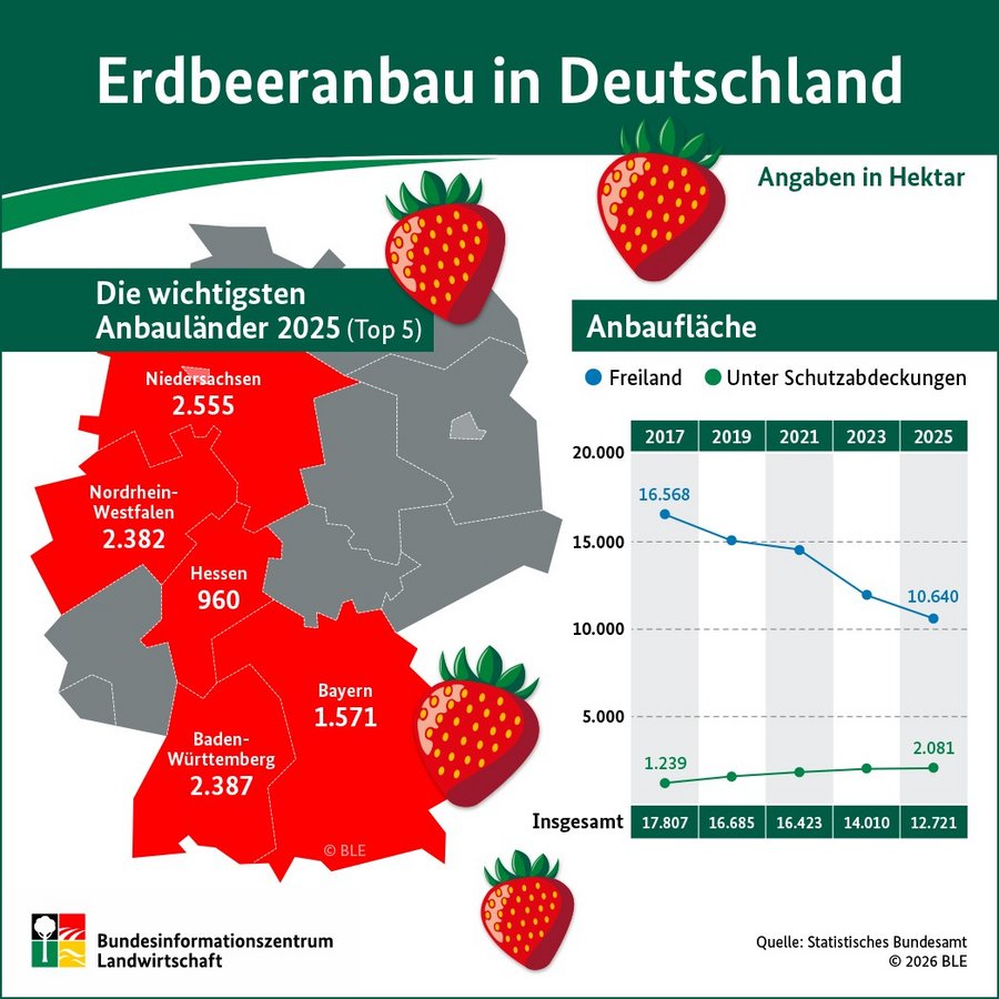 Zu sehen ist eine Deutschlandkarte mit den wichtigsten Erdbeer-Anbaugebieten sowie ein Balkendiagramm.