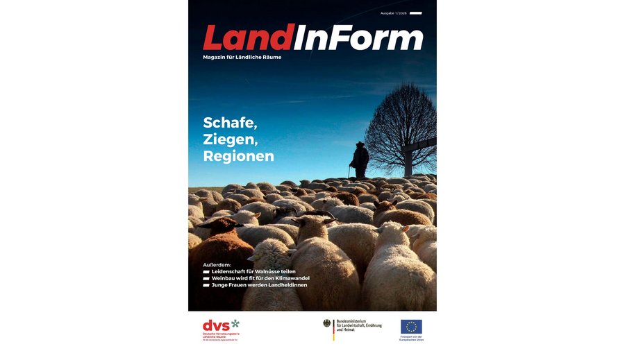 Titelbild der LandInForm, Ausgabe 1.26: Schafe, Ziegen, Regionen