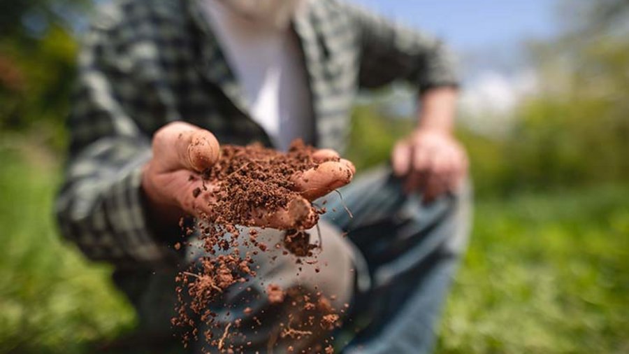 Mann mit Erde in den Händen. Bild: FluxFactory/E+/Getty Images Plus via Getty Images