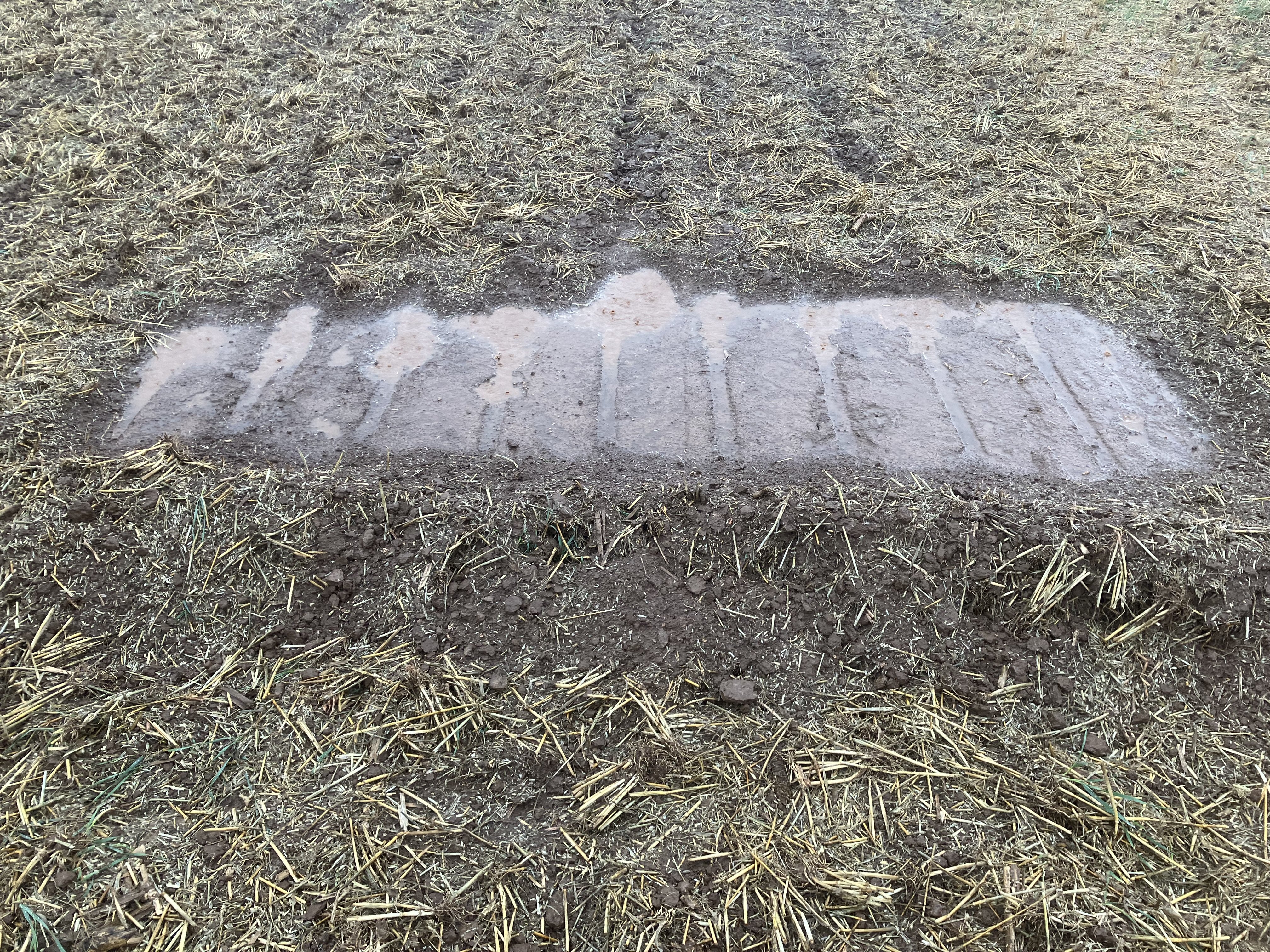 Nahaufnahme eines Bodens bearbeitet mit einem Universalgrubber.