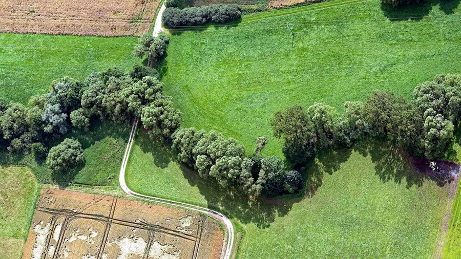 Luftbild mit Heckenlandschaft (Knicks)