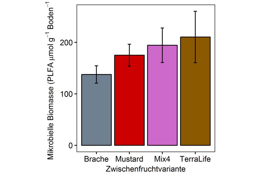 Grafik zur mikrobiellen Biomasse