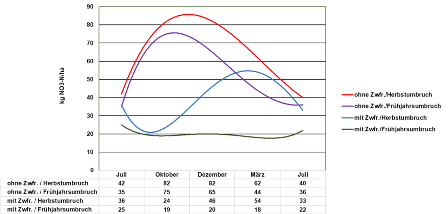 Einfluss verschiedener Zwischenfrüchte auf Nitrat im Boden
