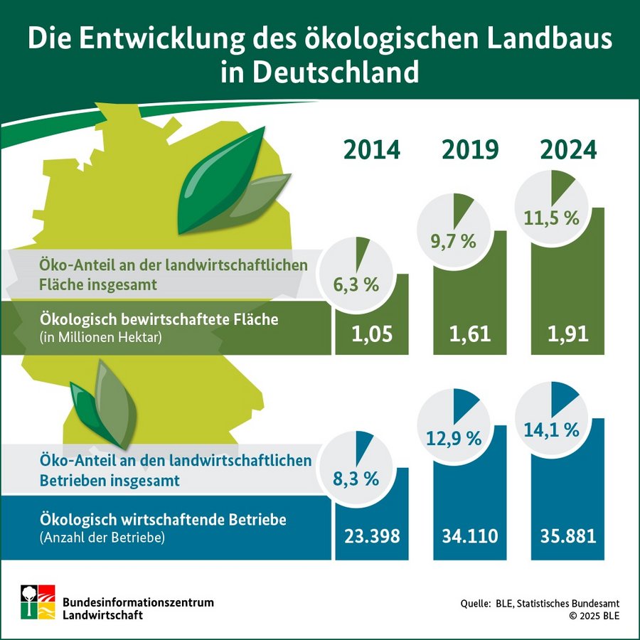 Infografik zum Thema wie sich der Ökolandbau in Deutschland seit 2014 entwickelt hat.