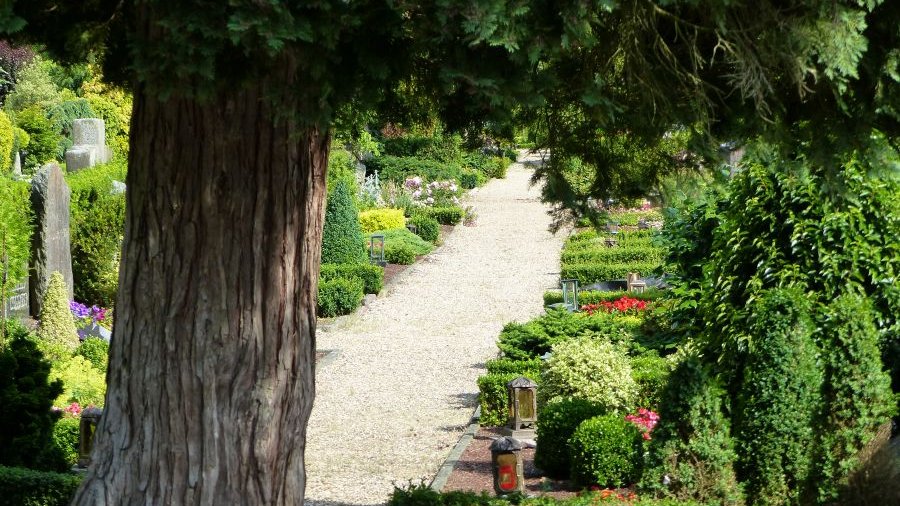 Blick auf einen Friedhof