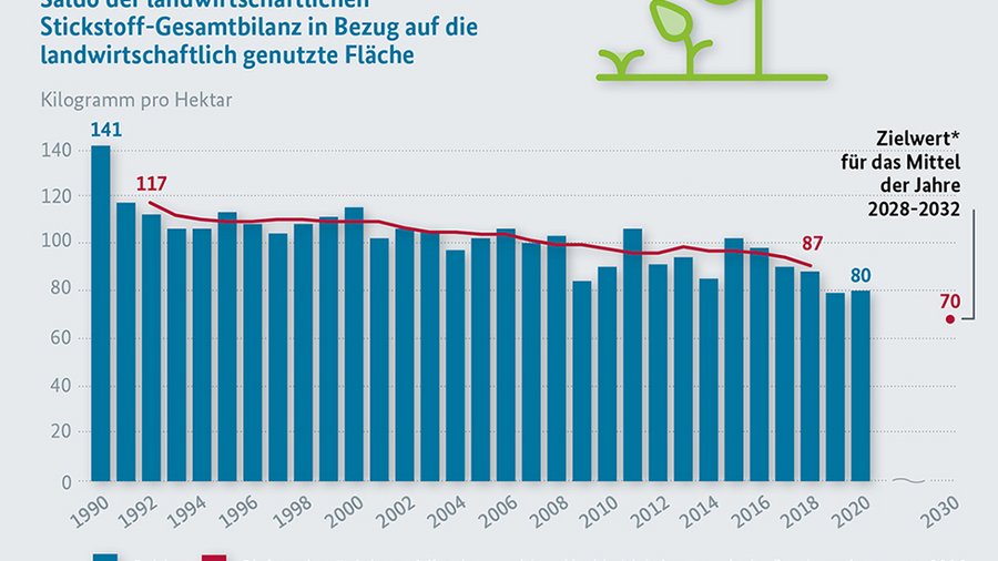 Infografik Stickstoff-Gesamtbilanz