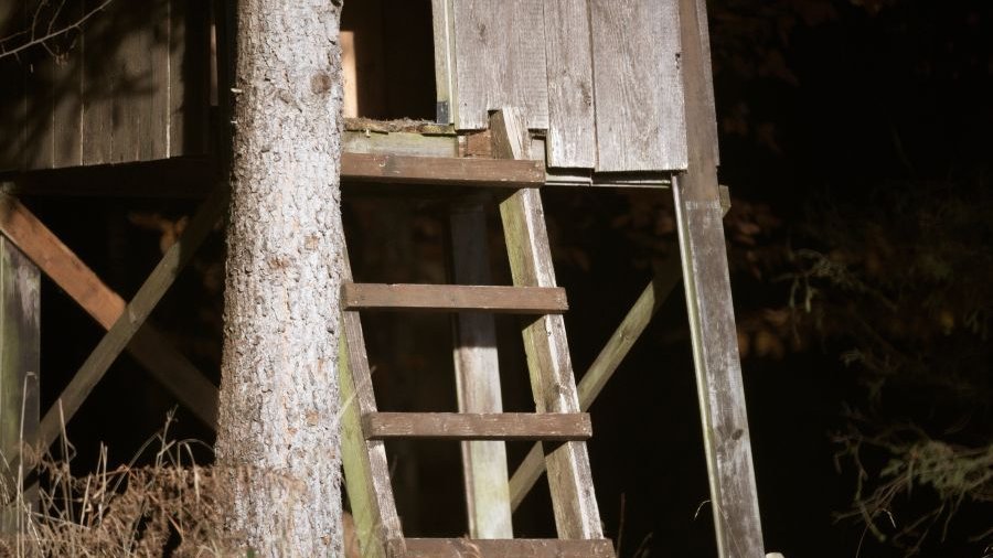 Hochstand Wolfsmanagement