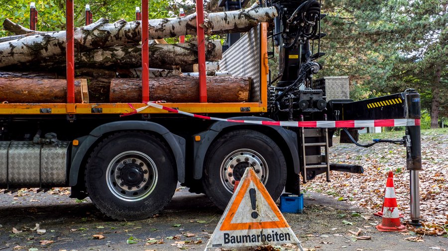 Ein Laster ist mit gefällten Baumstämmen beladen. Davor weist ein Warndreieck auf Baumarbeiten hin.