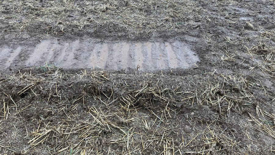 Ein Ausschnitt Boden bearbeitet mit einem Flachgrubber. 