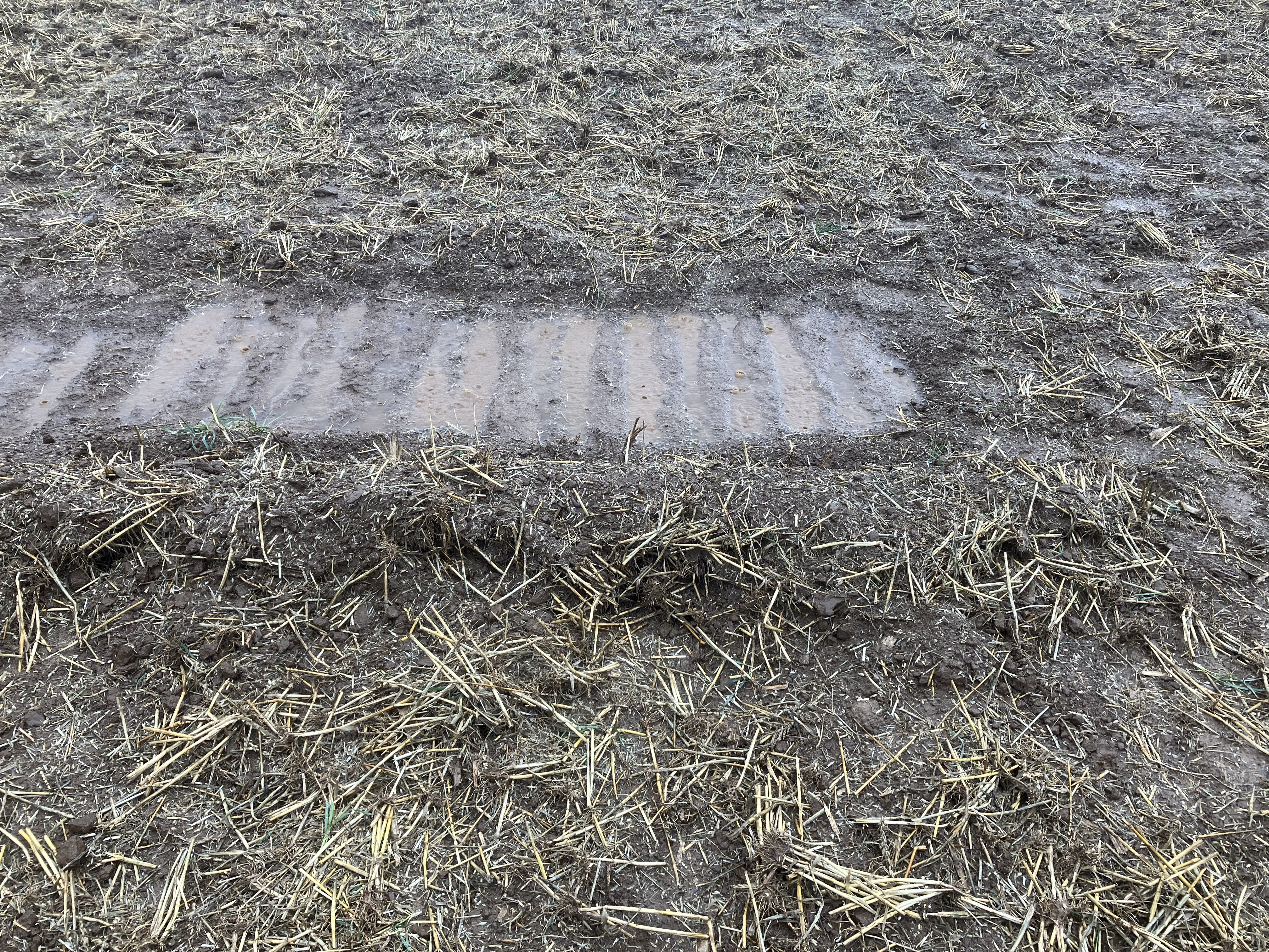 Ein Ausschnitt Boden bearbeitet mit einem Flachgrubber. 