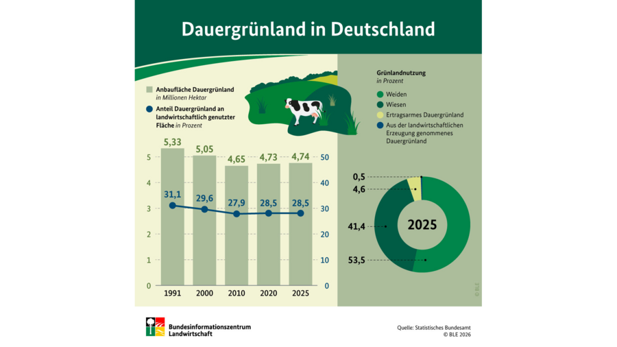 Infografik Dauergrünland