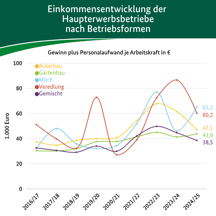 Grafik Einkommensentwicklung von Haupterwerbsbetrieben nach Betriebsform