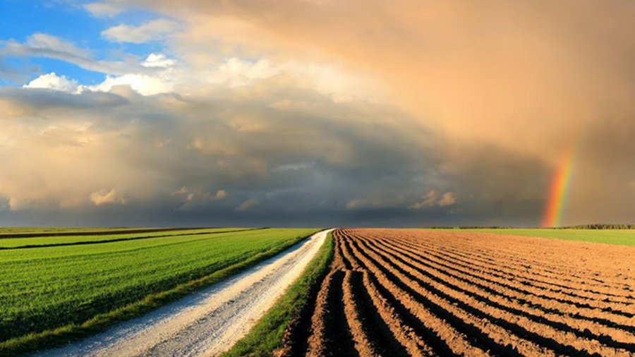 Ein Feldweg, darüber teils bewölter, teils wolkenloser blauer Himmel sowie ein Regenbogen.