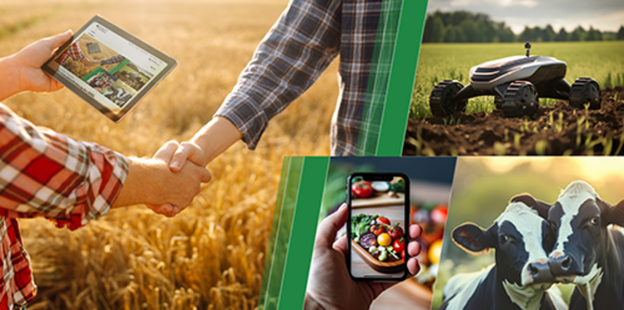 Logo der Innovationsförderung