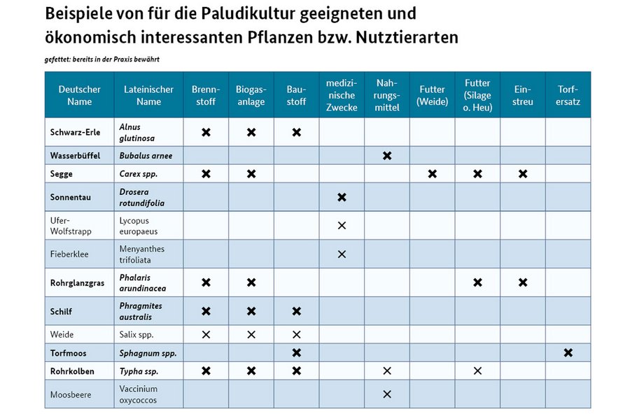 Tabelle Paludikultur