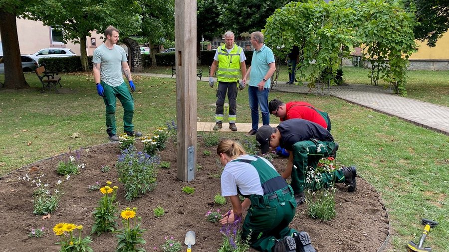 Viele Gärtnerinnen und Gärtner bepflanzen ein Blumenbeet.