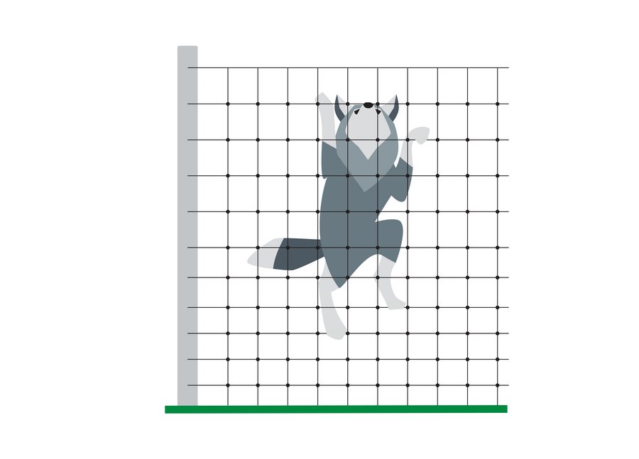 Wolf klettert über Stabilzaun