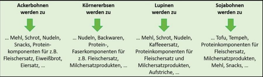 Produktbeispiele für Ackerbohnen, Körnererbsen, Lupinen und Sojabohnen