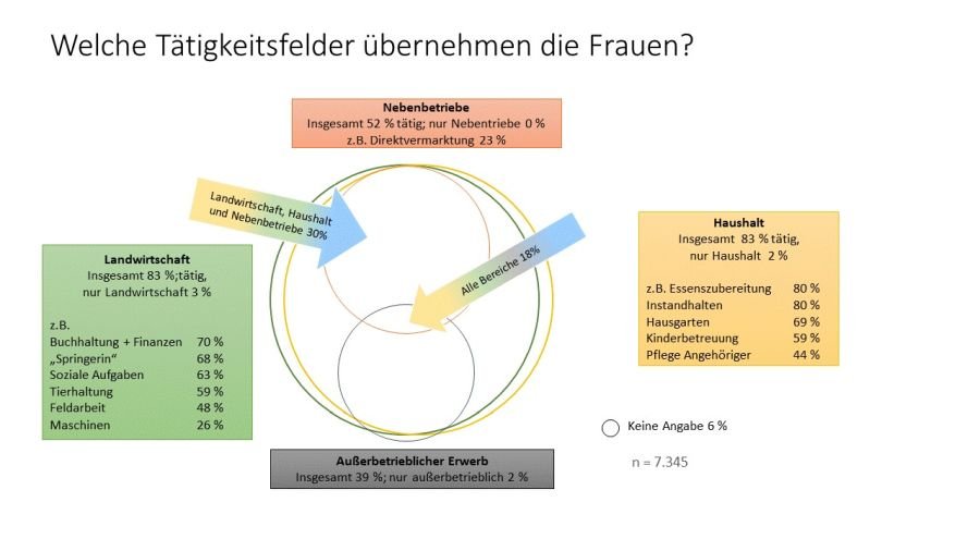 Mehrere Ringe, die sich zum Teil überschneiden und zeigen, wie hoch der Anteil der Frauen ist, die in mehreren Tätigkeitsfeldern arbeiten. Hohe Überlappung gibt es bei Betrieb und Haushalt.