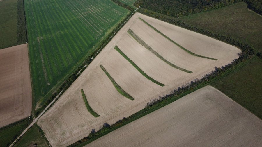 Ein Feld im Hanglage wird durch Keyline Design streifen unterbrochen