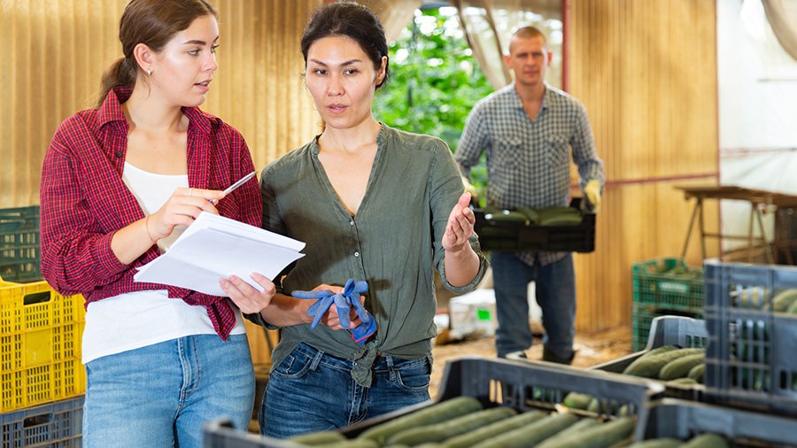Zwei Frauen stehen in einer Lagerhalle mit Gemüsekisten und diskutieren. Eine hält einen Block in der einen Hand und zeigt mit einem Stift in der anderen zur Seite der Frau, die neben ihr steht. Im Hintergrund bringt ein Mann eine weitere Gemüsekiste.