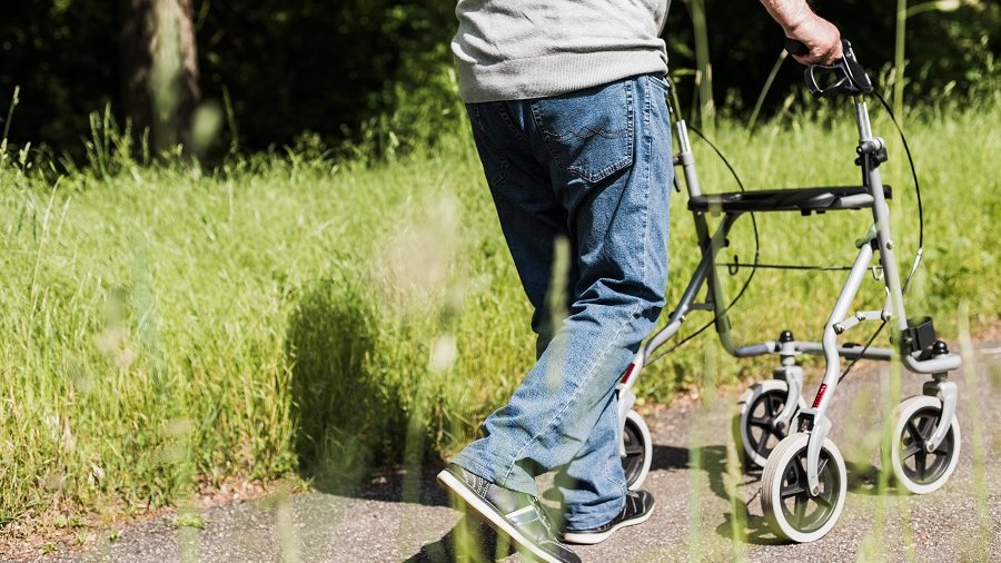 Rückansicht eines älteren Mannes, der mit einem Rollator im Grünen spazieren geht.