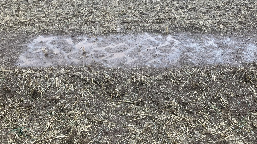 Ein Ausschnitt Boden bearbeitet mit einer Kurzscheibenegge. 