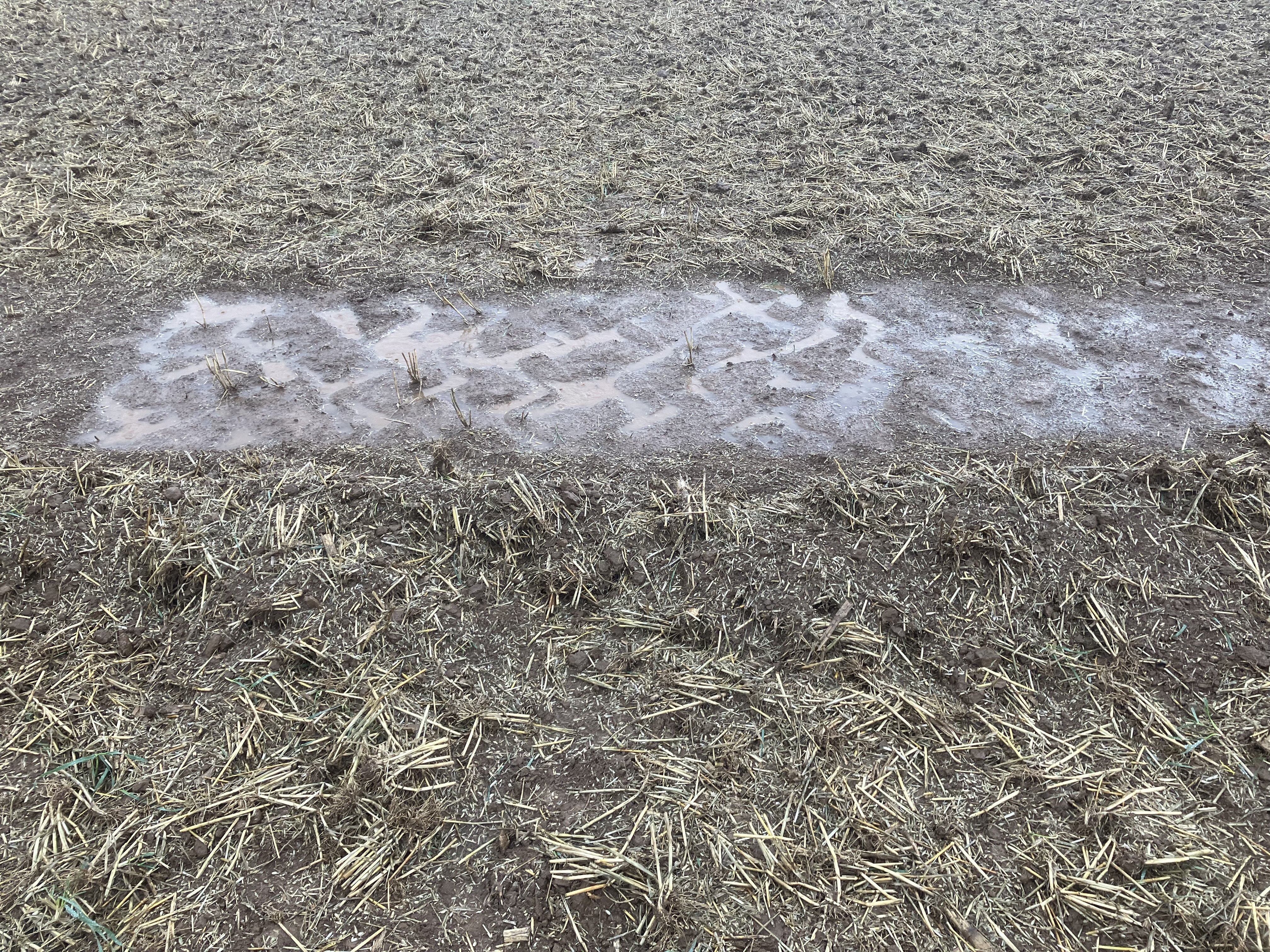 Ein Ausschnitt Boden bearbeitet mit einer Kurzscheibenegge. 