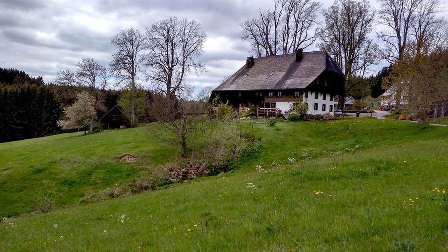 Bauernhof mit Grünland im steilen Gelände