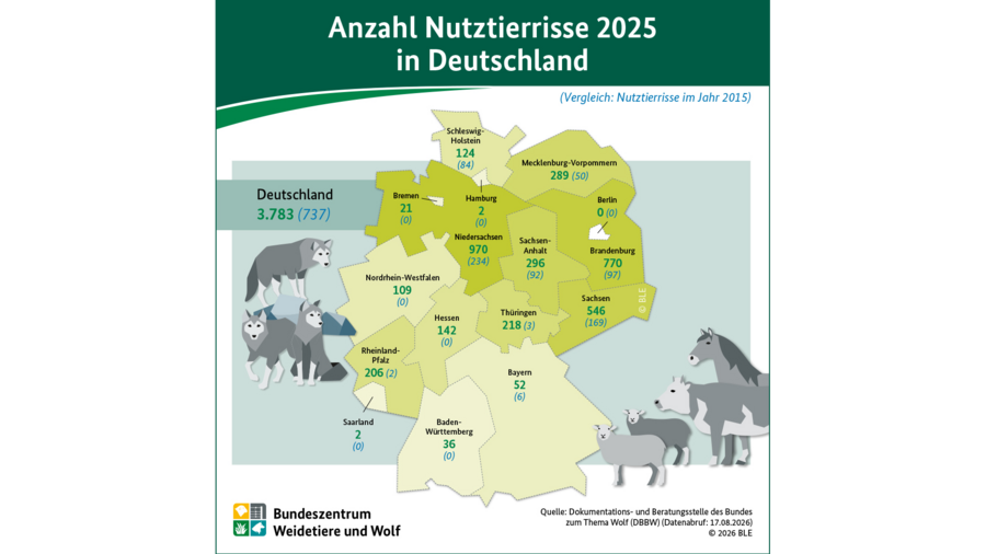 Infografik Wolfsrisse 2025