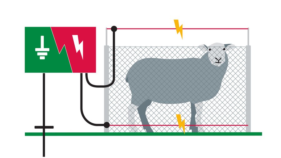 Überkletterschutz Wolfszaun