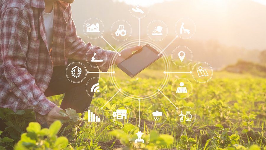 Landwirt kniet auf dem Feld und nutzt Tablet für verschiedene Anwendungen