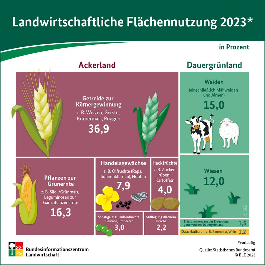 Infografik Flächennutzung