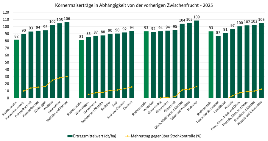Diagramm über Körnermaiserträge nach unterschiedlichen Zwischenfrüchten.