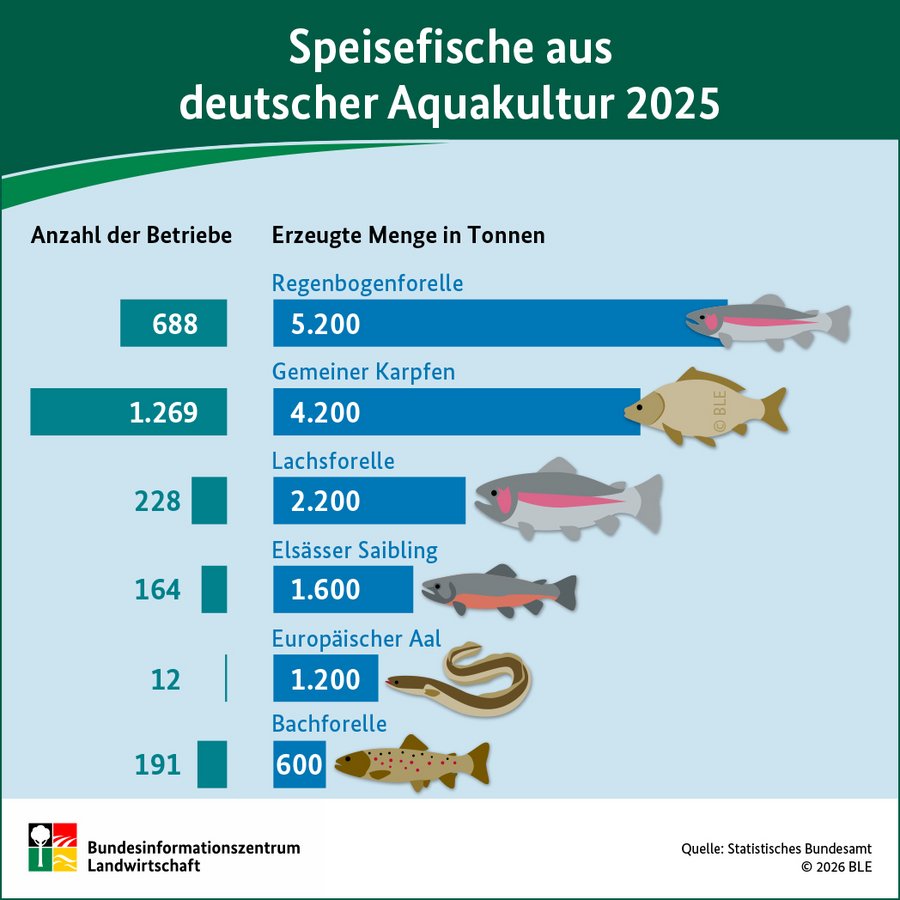 Infografik Aquakultur