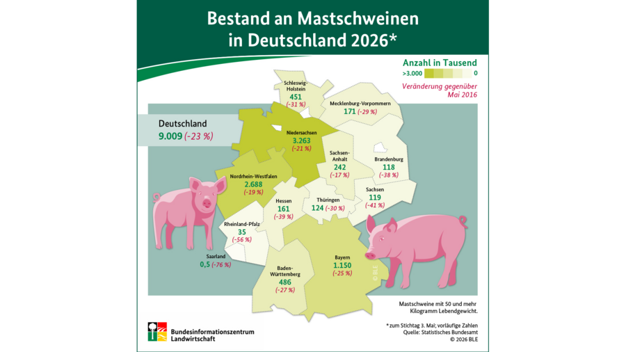 Infografik Mastschweinebestand Deutschland