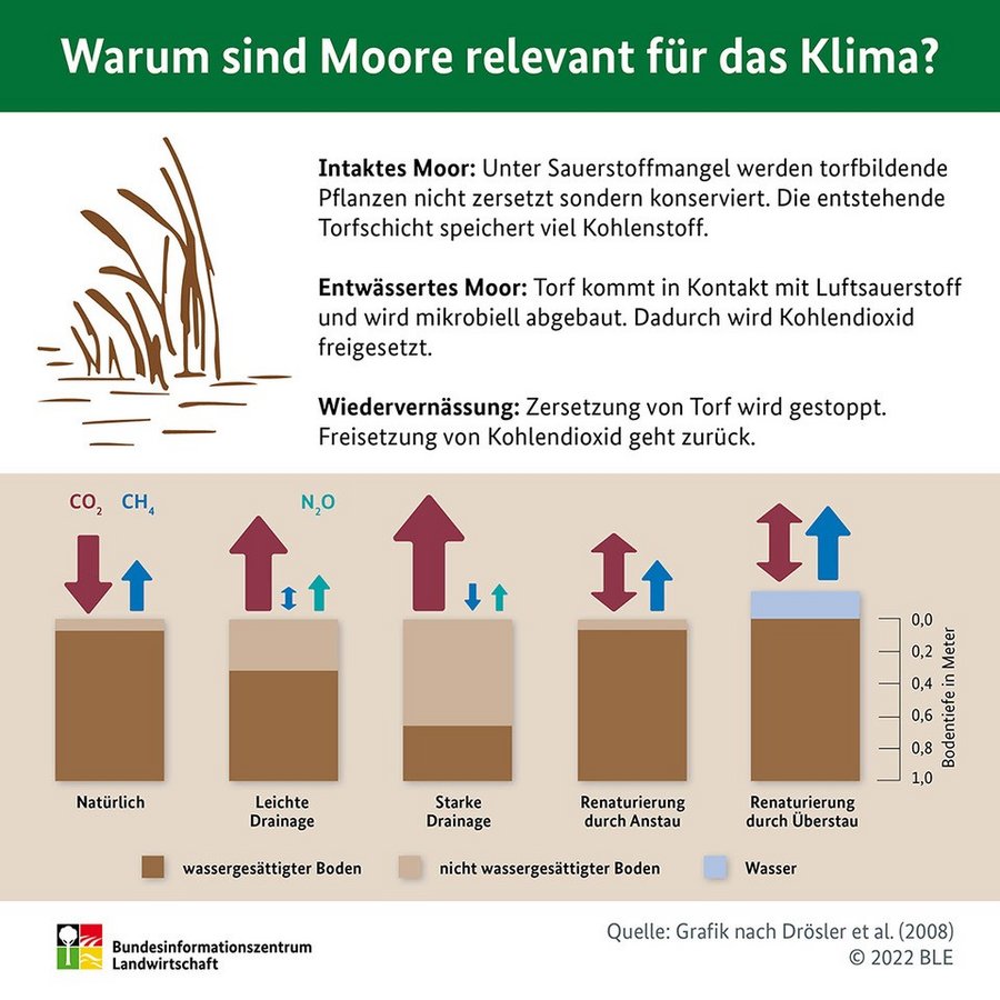 Infografik Moor Wiedervernässung