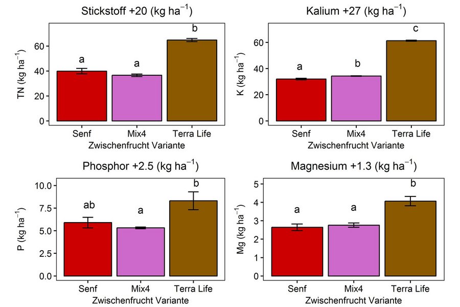 Grafik zur Nährstofffreisetzung aus Zwischenfruchtstreu unter der Folgefrucht Mais