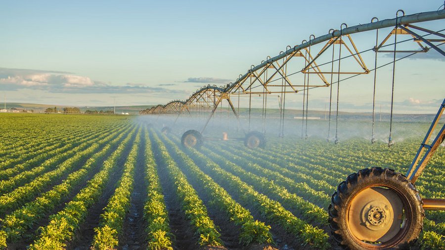 Wassermangel bewirkt bei Pflanzen, dass die Photosyntheseleistung verringert wird und die Pflanzen Nährstoffe schlechter aufnehmen können. Durch beides verschlechtert sich die Ausnutzung der gedüngten Nährstoffe. Länger anhaltende oder häufig auftretende Trockenperioden in der Vegetationszeit können also die Ursache für eine schlechte Nährstoffeffizienz sein. Mithilfe der Feldberegnung von Kulturen kann in sommertrockenen Gebieten das Ausbleiben von Niederschlägen ausgeglichen und damit die Stickstoffeffizienz verbessert werden. 