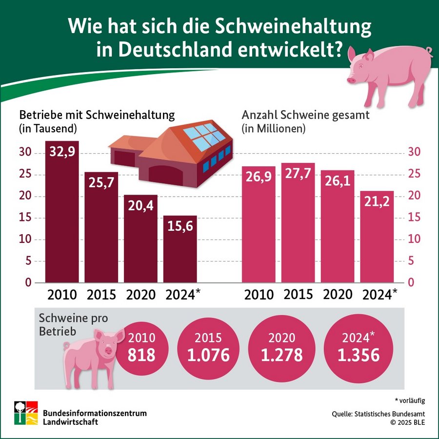 Infografik Schweinehaltung in Deutschland