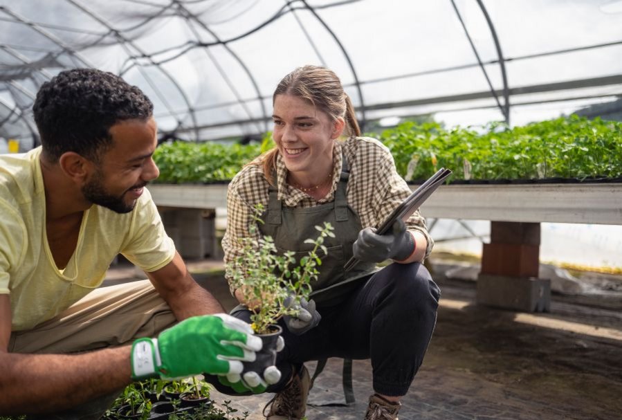 Mann und Frau sind im Gespräch. Sie hocken in einem Gewächshaus vor einem Hochbeet.h